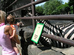 gal/Lili 2005.08.14./_thb_DSCN1280.jpg